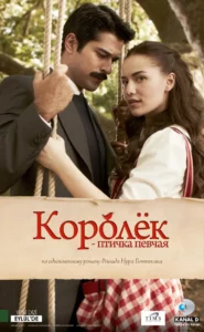Королек — Птичка Певчая