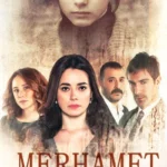Милосердие (сериал 2013 – 2014)