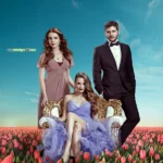 Пора тюльпанов (сериал 2010 – 2014)